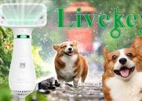 PetBliss™ – El secador que relaja y embellece.